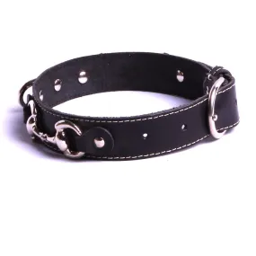 Fournitures pour animaux de compagnie - Colliers et laisses pour animaux de compagnie -