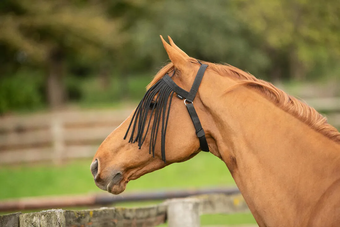 Frontal anti-mouche de pré équitation Cheval - noir