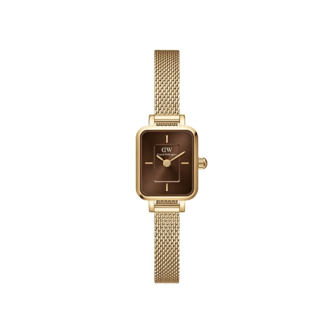Montre Femme Daniel Wellington  Evergold - DW00100654 Bracelet Acier Doré | 3 Suisses