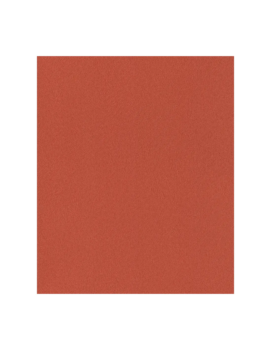 Papier peint stock DELZONGLE Collection SOPHIA 2023 référence 3019 - DELZONGLE