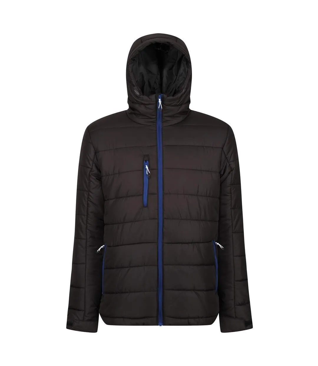 Quilted black / royal blue Regatta men's down jacket