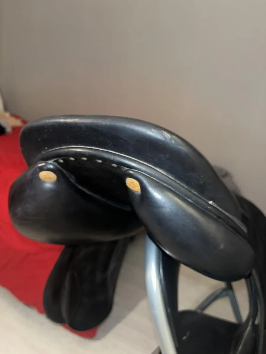 Selle butet noire