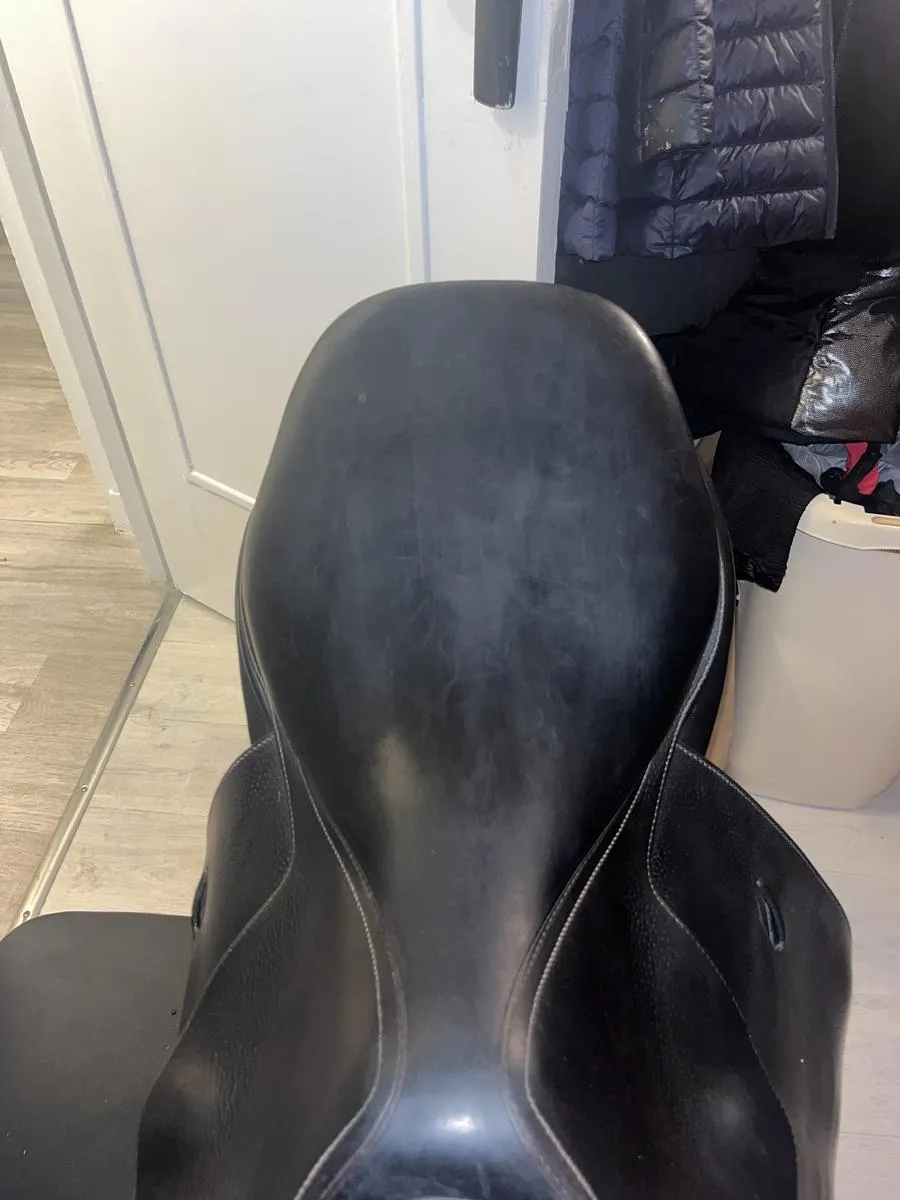 Selle butet noire