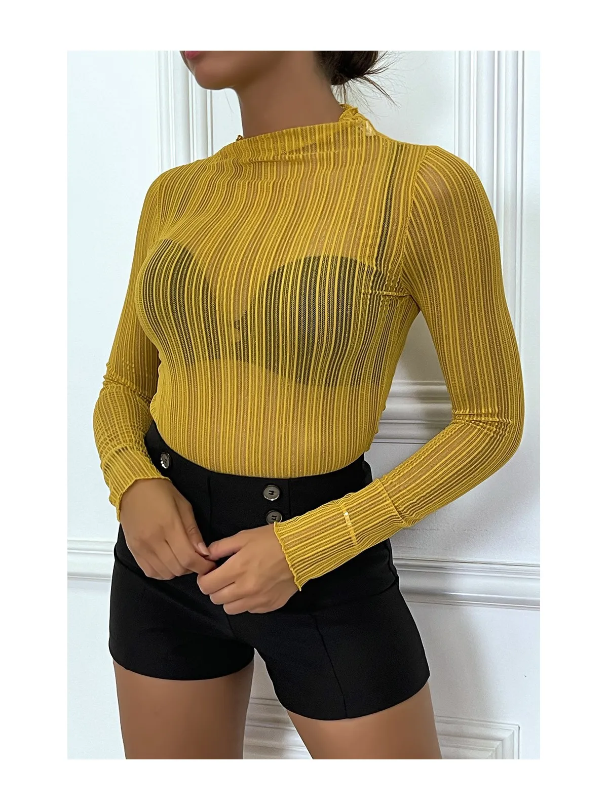 Mustard Glitter Striped Sheer Long Sleeve Crew Neck T-shirt